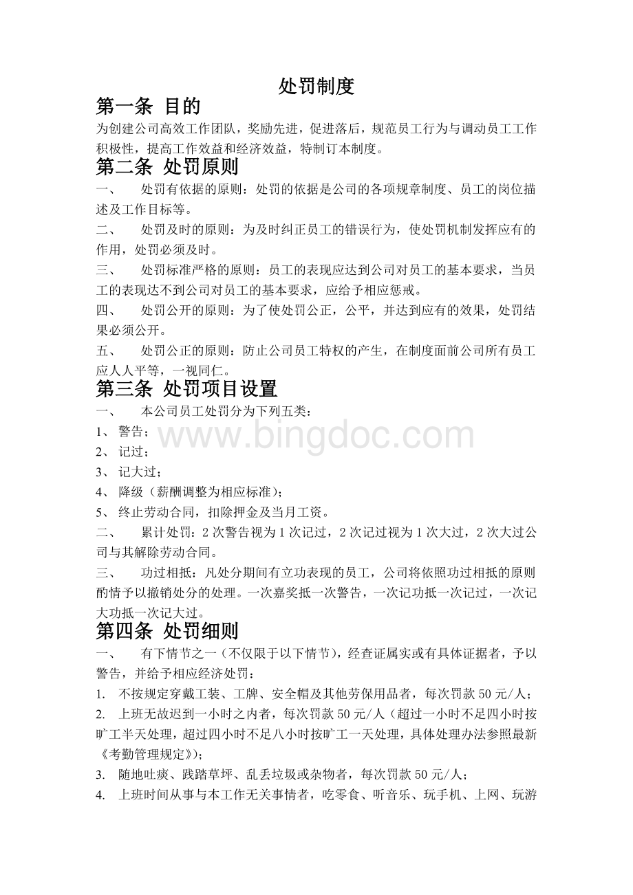 公司处罚制度(试行)文档格式.docx