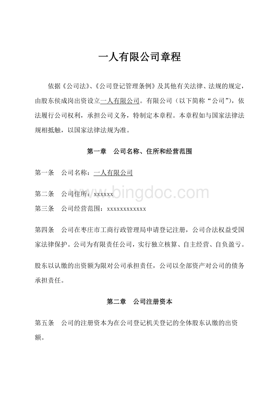 一人有限公司公司章程.docx