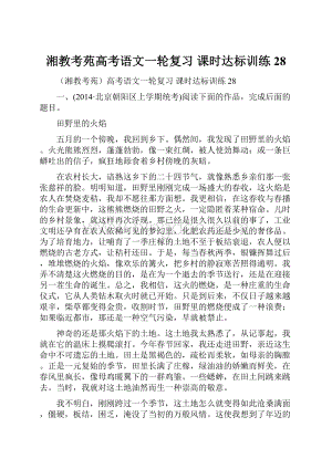 湘教考苑高考语文一轮复习 课时达标训练28Word文档下载推荐.docx