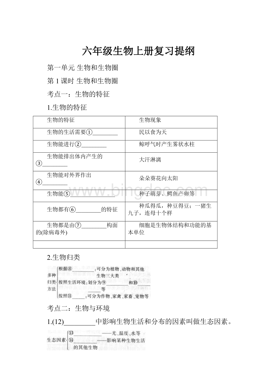 六年级生物上册复习提纲.docx_第1页