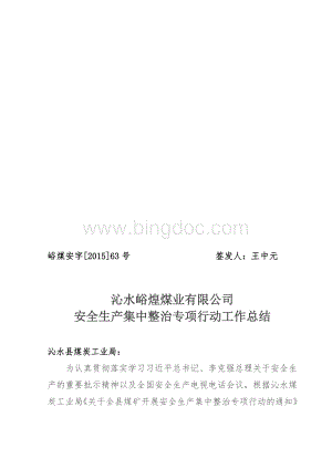 关于开展安全生产集中整治专项行动工作总结Word文档下载推荐.doc