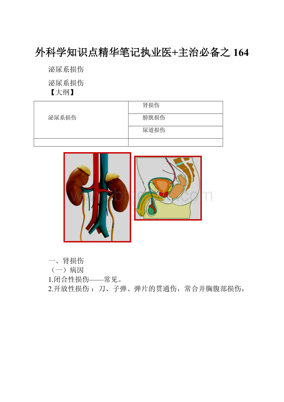 外科学知识点精华笔记执业医+主治必备之 164Word下载.docx_第1页