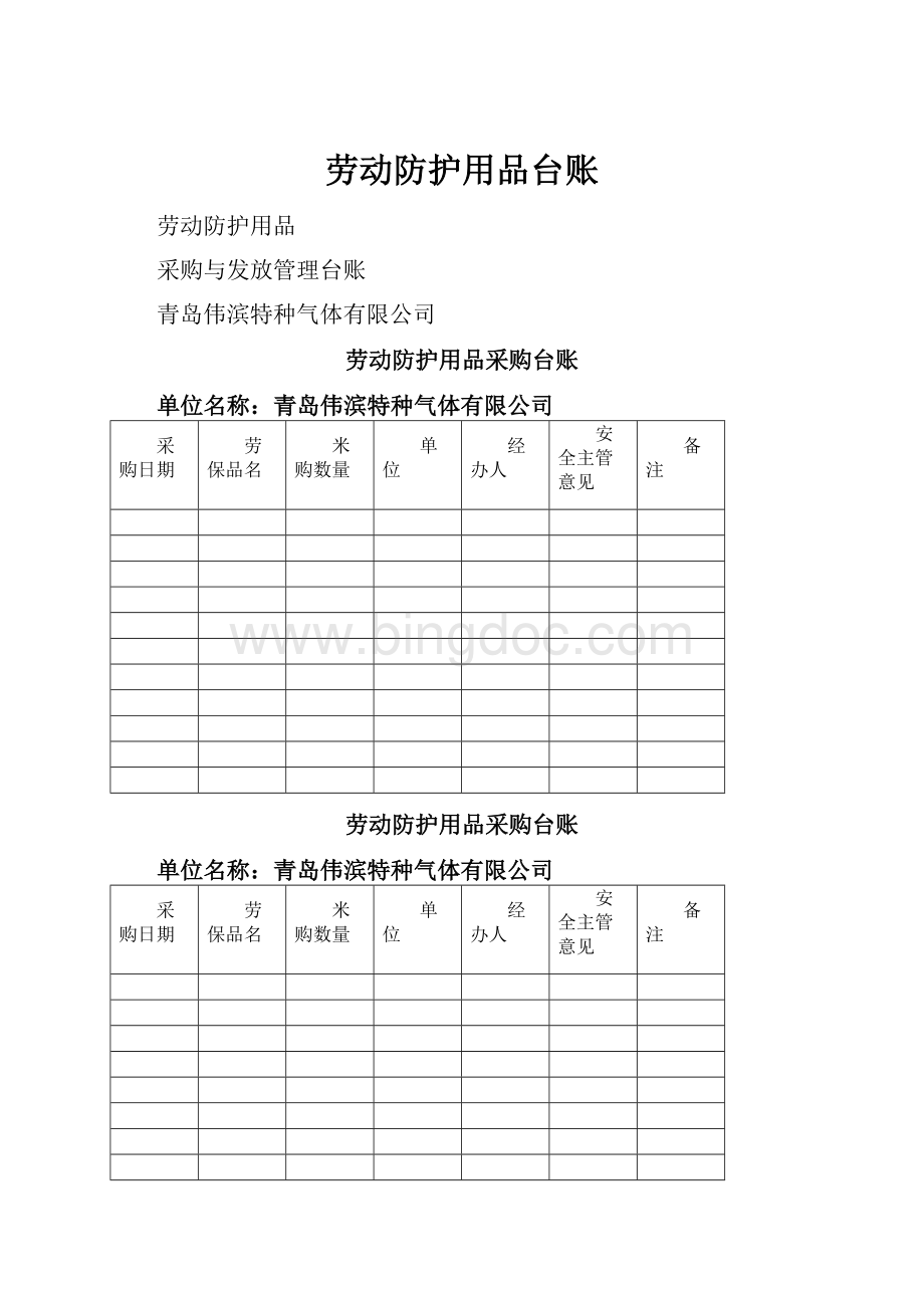 劳动防护用品台账文档格式.docx_第1页