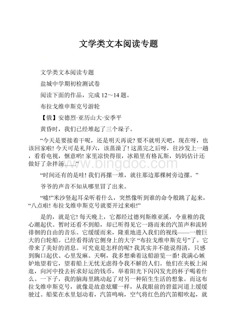 文学类文本阅读专题Word格式.docx