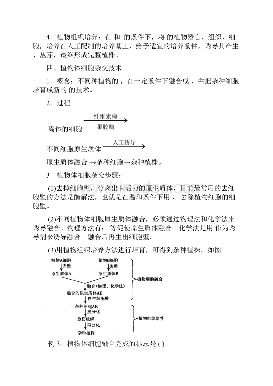 第1节植物细胞工程 学案Word文件下载.docx_第3页