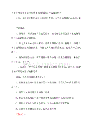 下半年湖北省孝感市应城市城投集团招聘试题及解析文档格式.docx