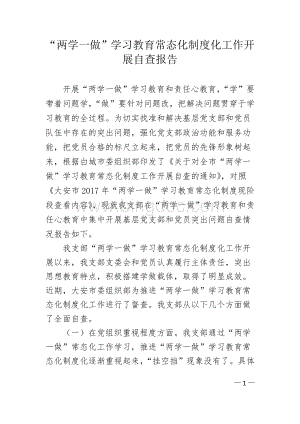 两学一做常态化工作开展情况自查文档格式.docx