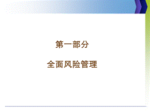 项目风险管理资料.ppt