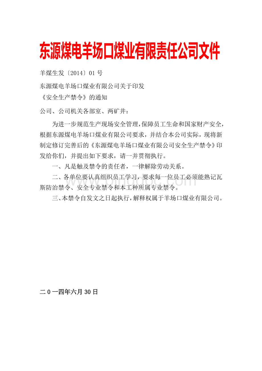 公司文件(安全生产禁令).doc_第1页