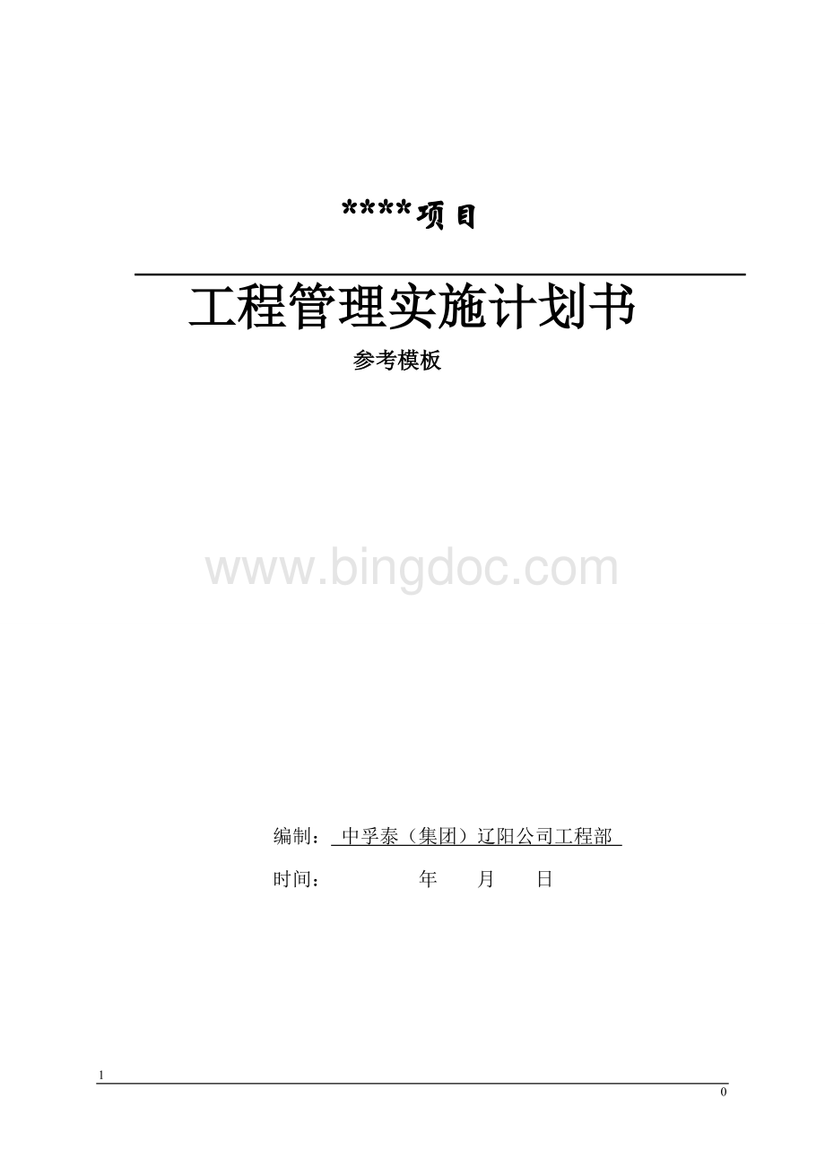 项目工程管理策划书模板Word格式文档下载.doc