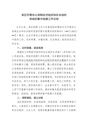 区开展非公有制经济组织和社会组织党组织集中组建工作总结Word格式文档下载.doc