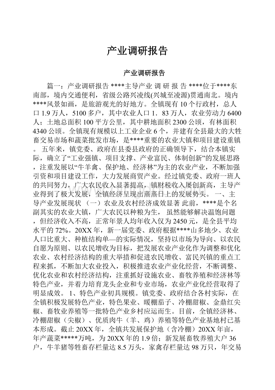 产业调研报告Word格式.docx_第1页