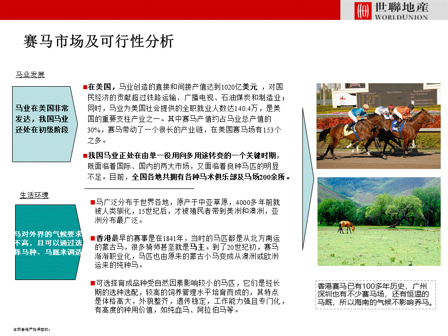 赛马市场及可行性分析.ppt