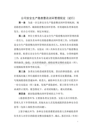 公司安全生产隐患整改闭环管理规定(试行).doc