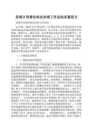 县统计局普法依法治理工作总结多篇范文Word文档格式.docx