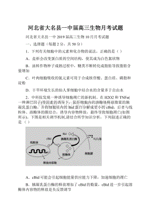 河北省大名县一中届高三生物月考试题Word文档下载推荐.docx