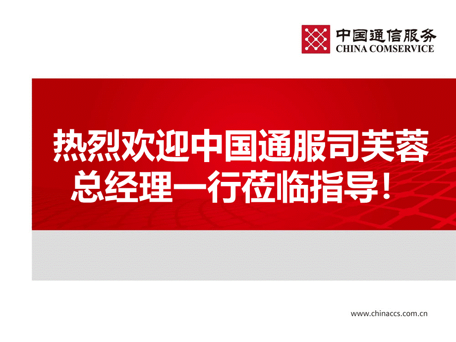 向中国通服司芙蓉总经理的汇报.ppt_第1页