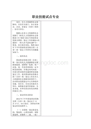 职业技能试点专业.docx