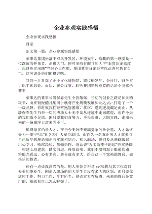 企业参观实践感悟Word格式.docx