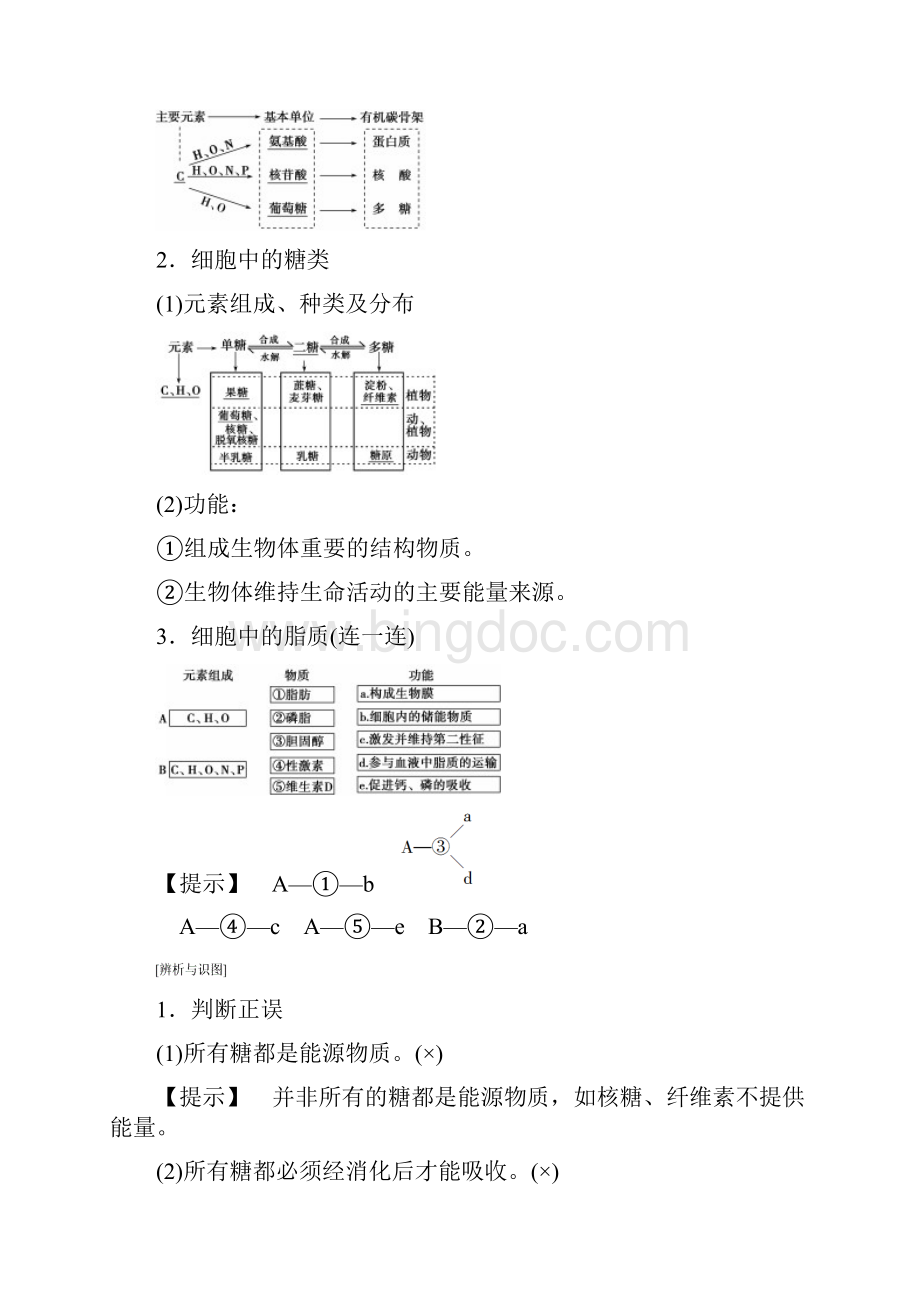 版高考生物一轮复习第1单元细胞的化学组成第2讲细胞中的大分子糖类脂质和核酸学案苏教版Word格式文档下载.docx_第2页