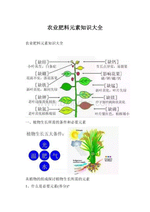 农业肥料元素知识大全文档格式.docx