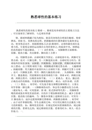 熟悉球性的基本练习文档格式.docx