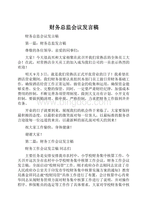 财务总监会议发言稿.docx