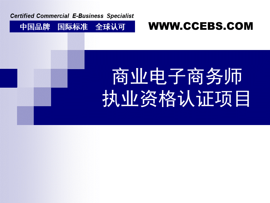 商业电子商务师执业资格认证项目.ppt_第1页