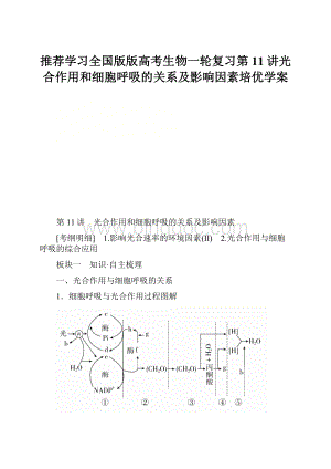 推荐学习全国版版高考生物一轮复习第11讲光合作用和细胞呼吸的关系及影响因素培优学案Word文档格式.docx