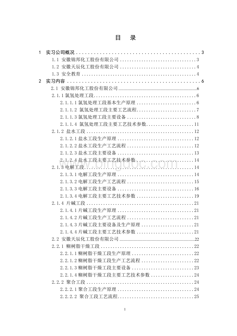 化学工程与工艺专业认知实习(1)-实习报告-中盐红四方实习Word格式.doc