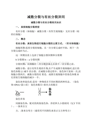 减数分裂与有丝分裂异同Word格式.docx