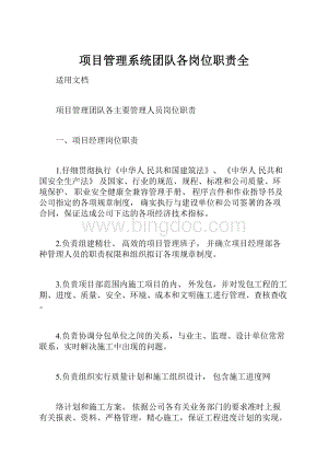 项目管理系统团队各岗位职责全Word下载.docx