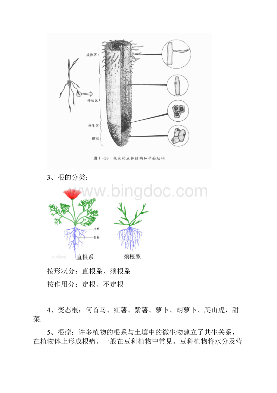 生物小实验植物部分归纳Word格式.docx_第2页