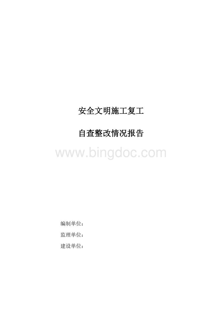 一标段总包单位安全隐患停工自查整改报告.doc_第1页