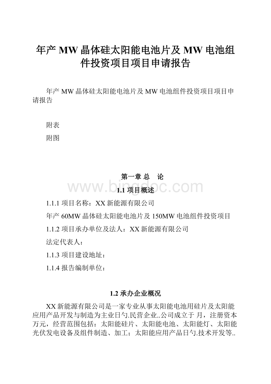 年产MW晶体硅太阳能电池片及MW电池组件投资项目项目申请报告Word文档格式.docx