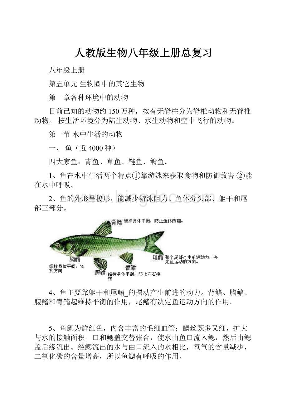 人教版生物八年级上册总复习.docx