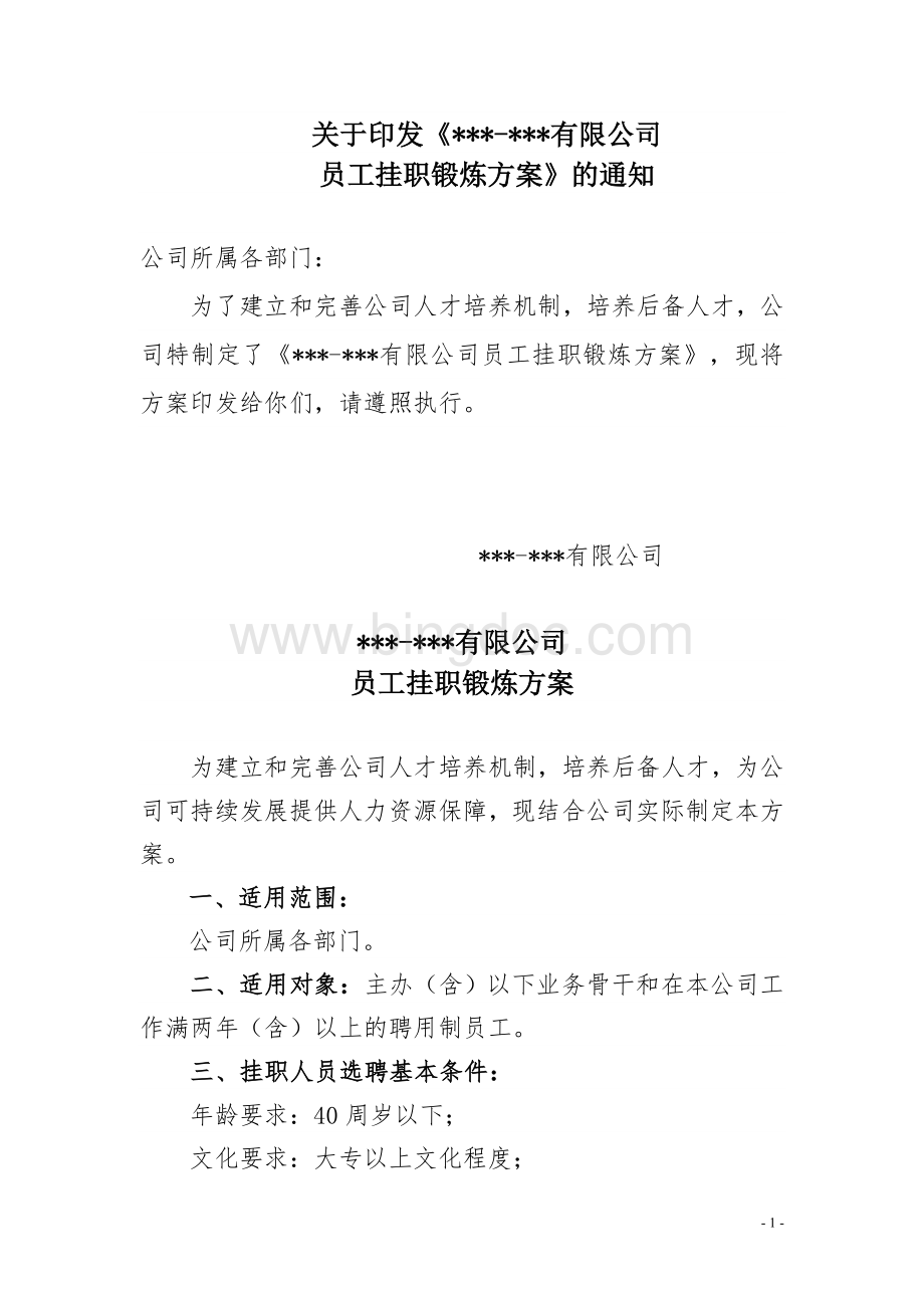 有限公司员工挂职锻炼方案Word格式.doc