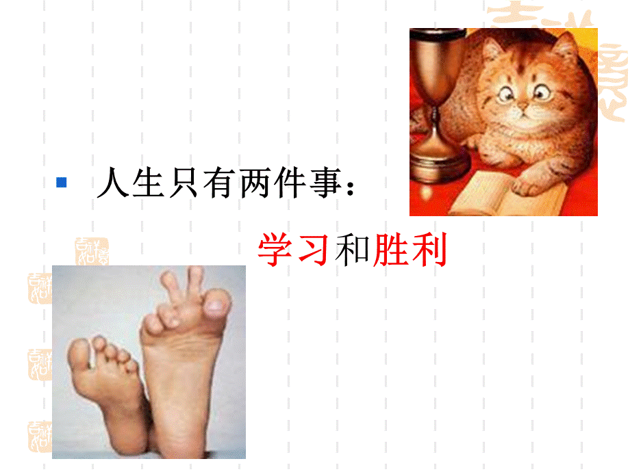 工作开展方案.ppt_第2页