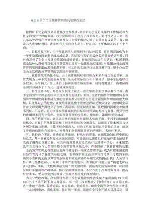 办公室关于全面预算管理的反思整改总结Word格式.doc