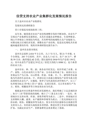 信贷支持农业产业集群化发展情况报告Word文件下载.docx