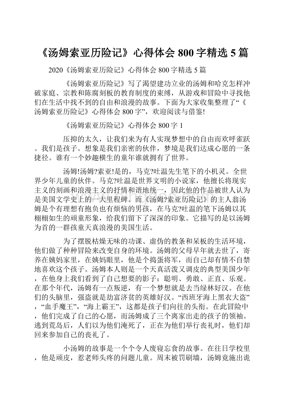 《汤姆索亚历险记》心得体会800字精选5篇Word文档格式.docx