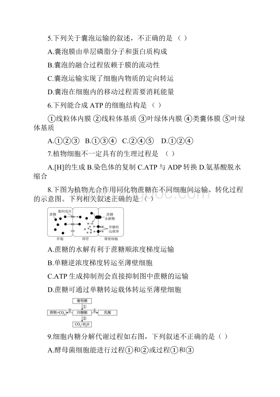 山东省临沂市第十九中学版高三生物第四次调研考试试题.docx_第2页