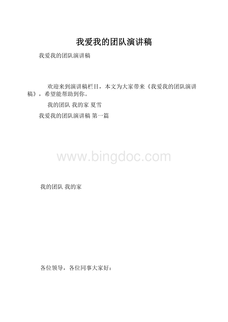 我爱我的团队演讲稿Word格式.docx