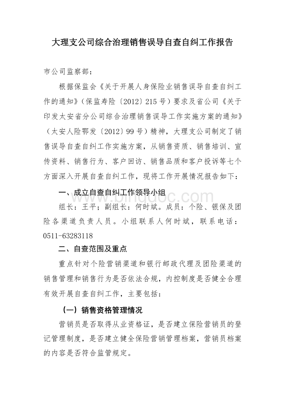 治理销售误导自查自纠报告Word格式.doc_第1页