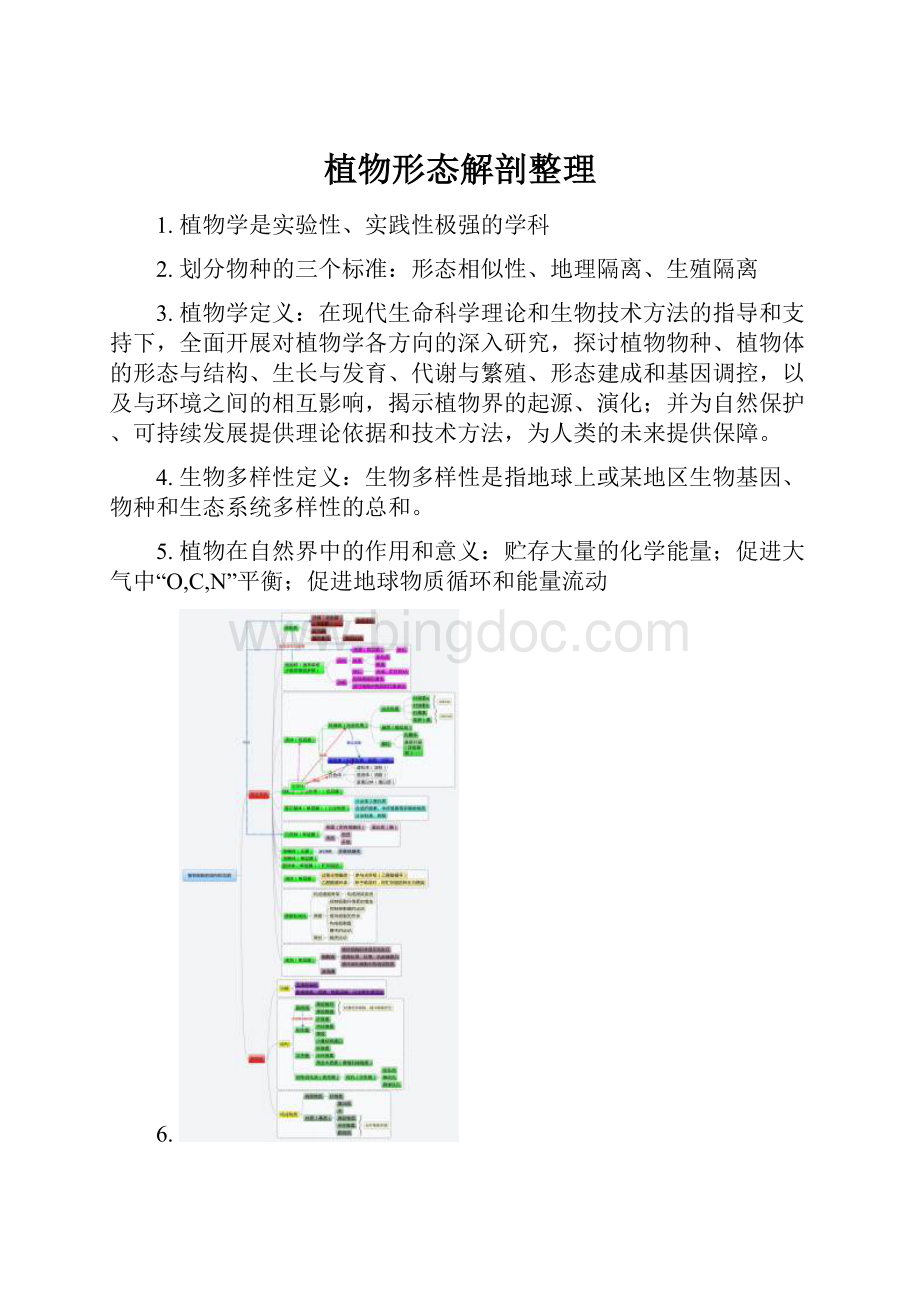 植物形态解剖整理Word文档下载推荐.docx