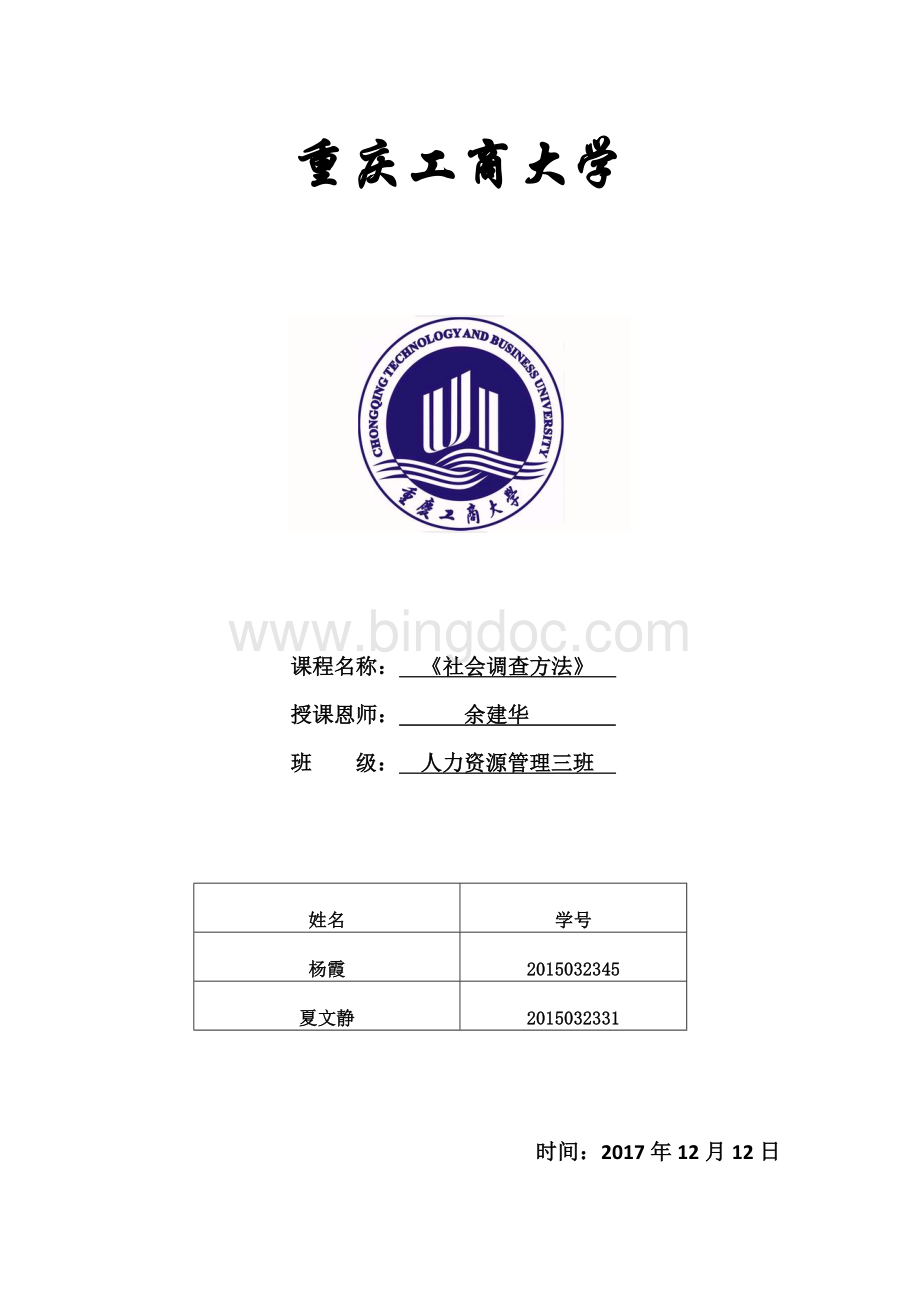 社会调查报告文档格式.docx