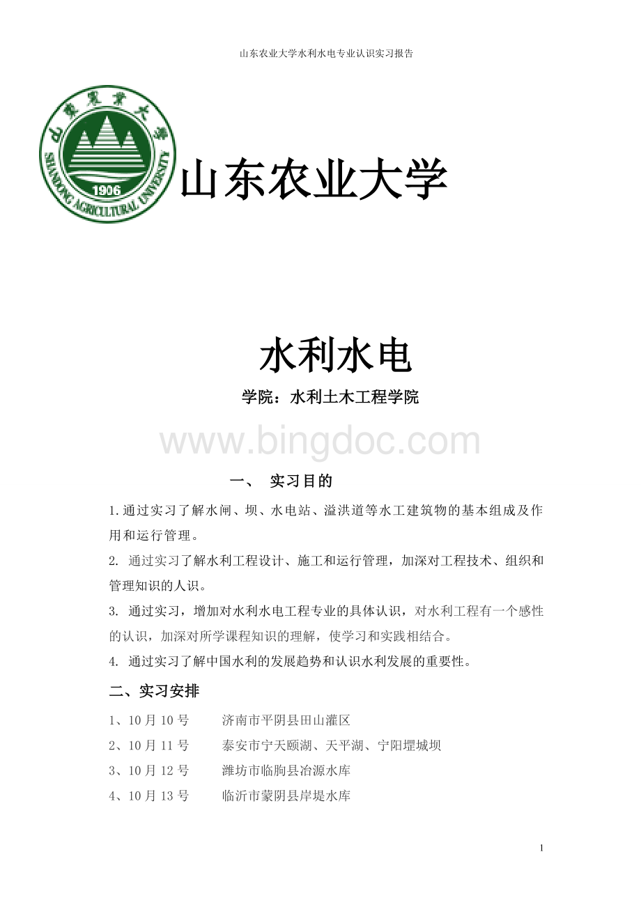 水利水电专业实习实习报告Word文档格式.doc_第1页