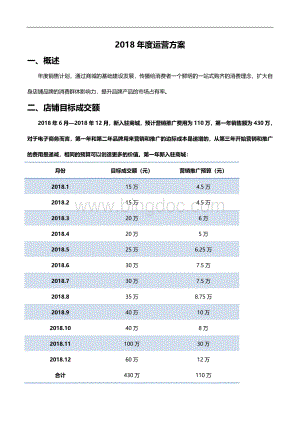 天猫商城新店年度运营计划天猫店铺全年运营规划电子商务项目年度经营计划.doc