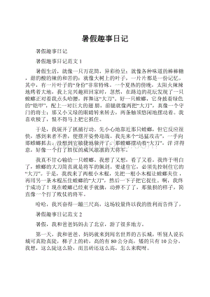 暑假趣事日记文档格式.docx