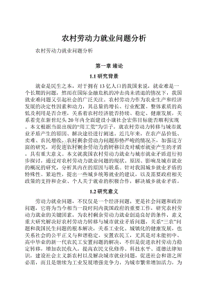 农村劳动力就业问题分析Word格式.docx